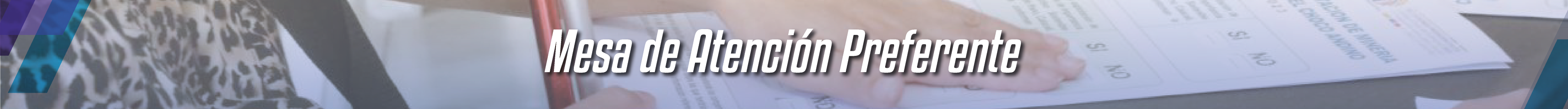 FICHA DE REGISTRO DE USO DE LA MESA DE ATENCIÓN PREFERENTE (OPCIÓN 2)